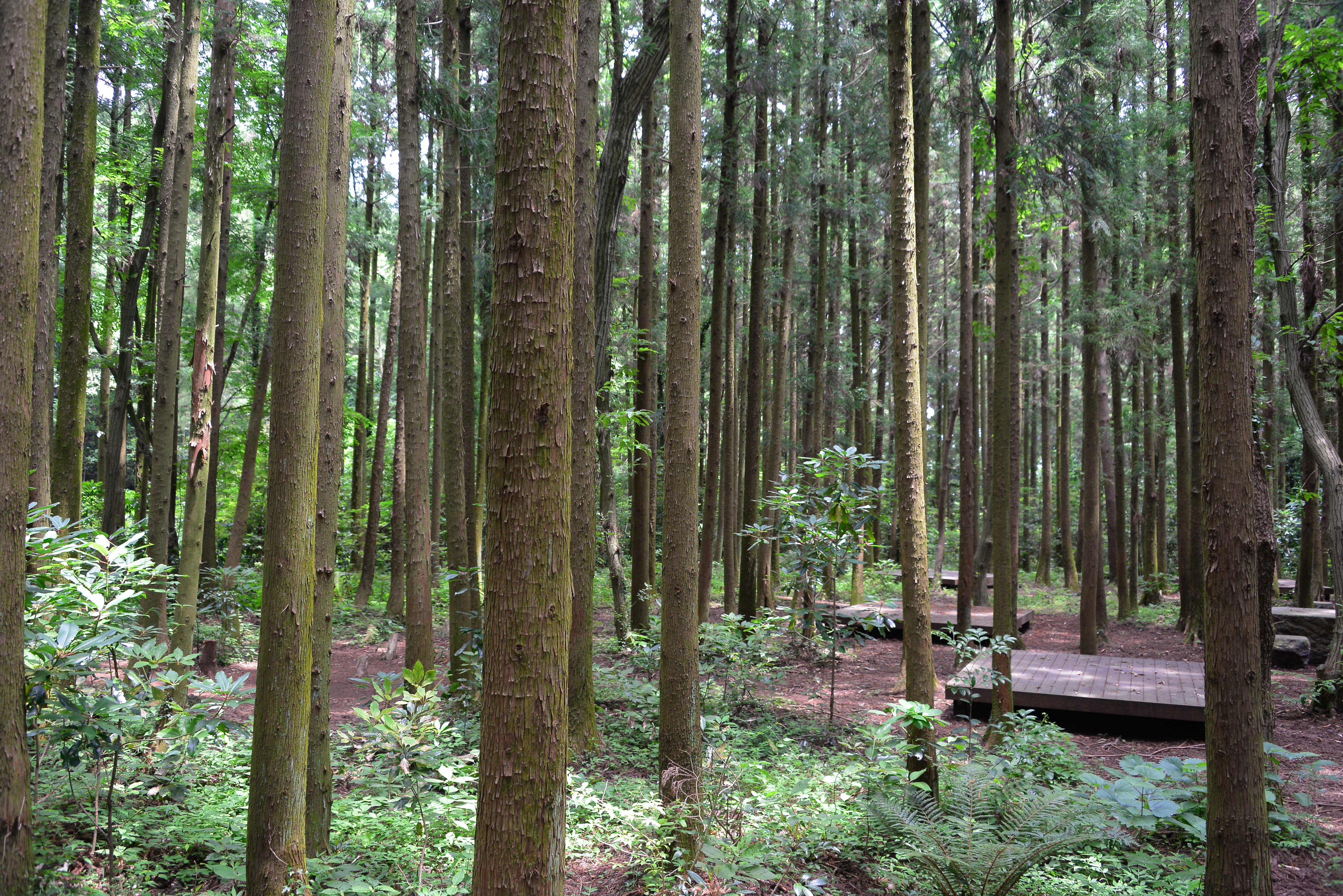 5. 저류지 지나는 길.JPG