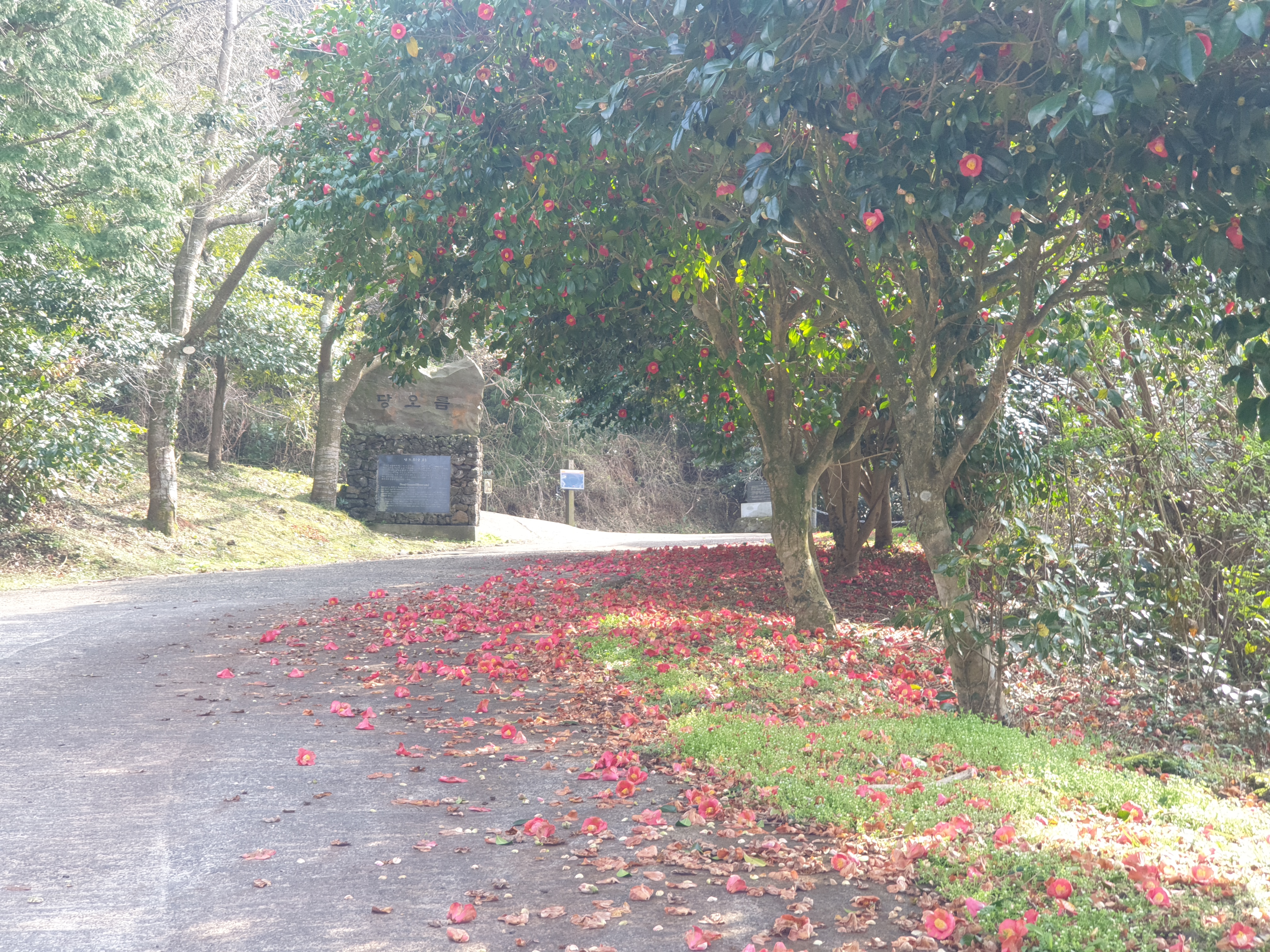 7. 소원길.jpg